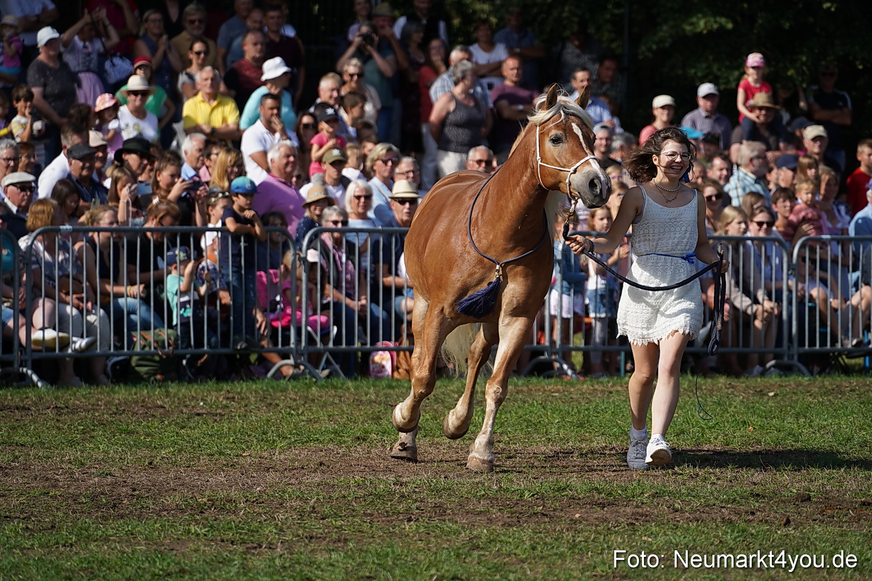 Pferde und Fohlenschau 2022 0140 